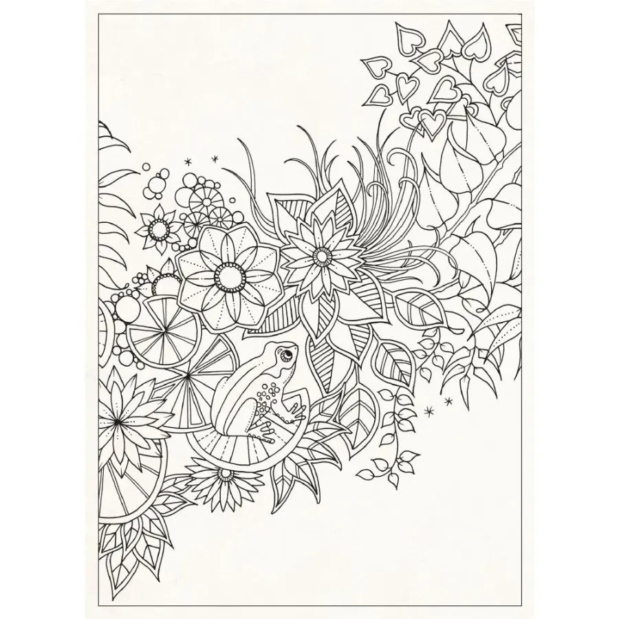 Secret Garden 20 Postcards Coloring Book English Original Pieces Postcard Livro Jardim Secreto R12 In Books From Office School Supplies