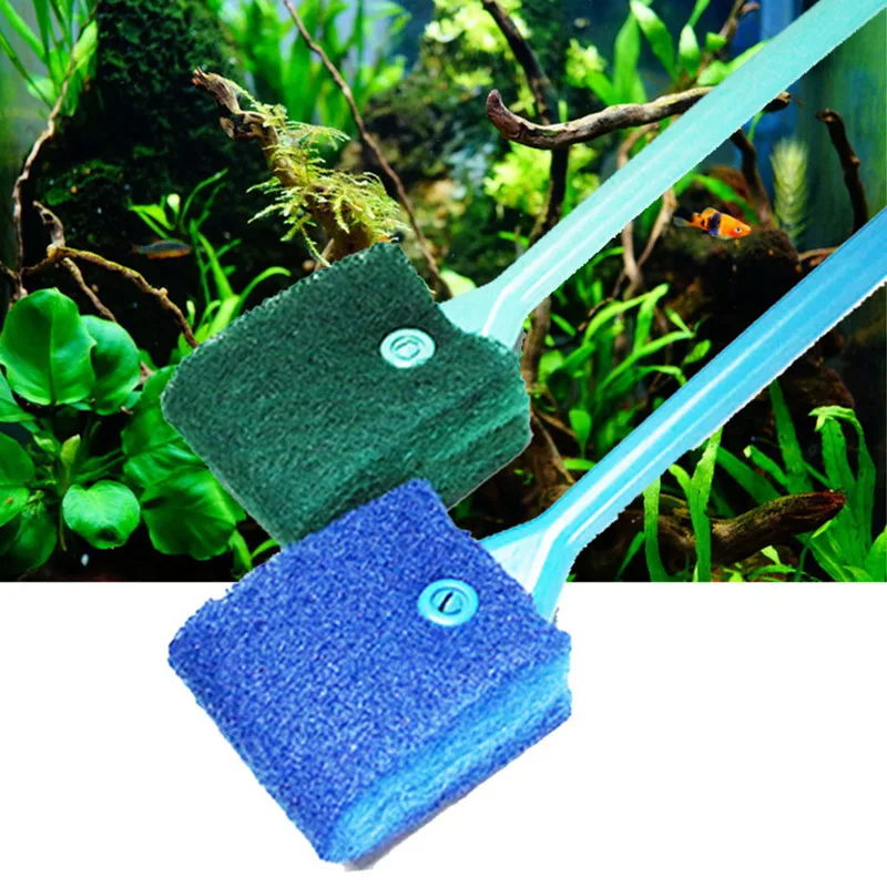 Aliexpress.com : Buy Practical Low Price New Aquarium Fish