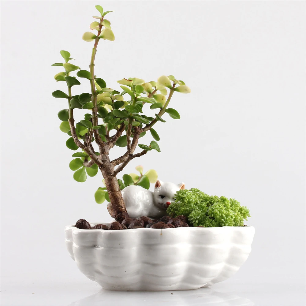Jardinieres En Ceramique Pour Jardin Porcelaine Pot De Fleur En Ceramique Pour Bonsai Chats Mignons Jardinieres Nouveaute Decor De Jardin Succulent Aliexpress