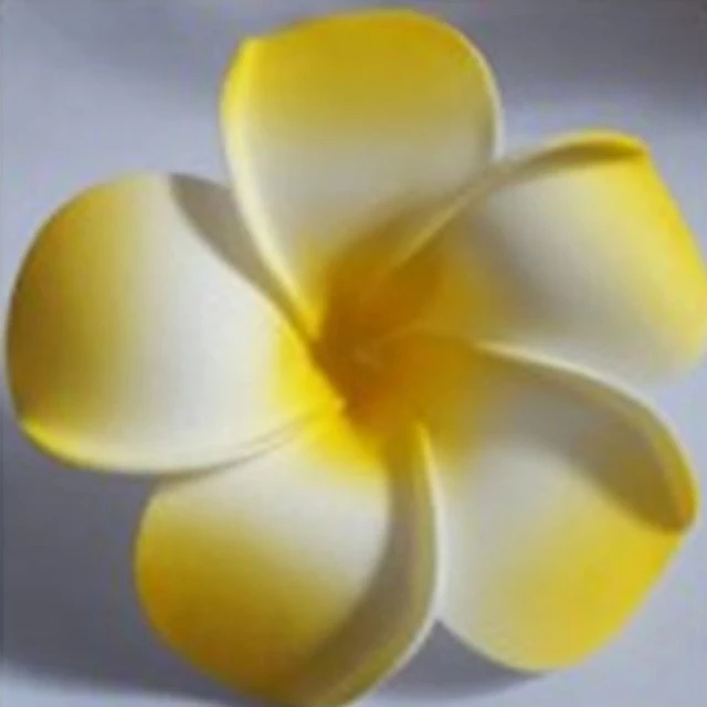 Download Strand hochzeit dekorationen diy Free Strand Hochzeit Dekorationen Diy