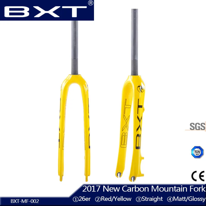 BXT 2017 New carbon mtb fork 26 downhill bike forks Straight mountain