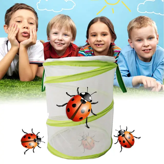 Rovar- És Pillangó Élőhely Ketrec Rovar Tenyésztő Háló Nettó Kültéri Kert Rovarok Etető Megfigyelő Doboz - Image 2