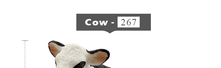 -7---MY6221_11