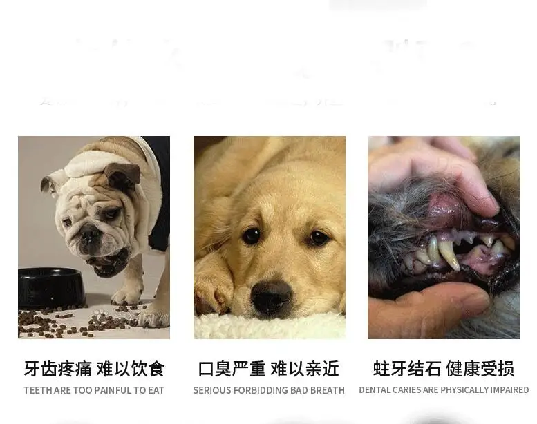 QQ20190426161850