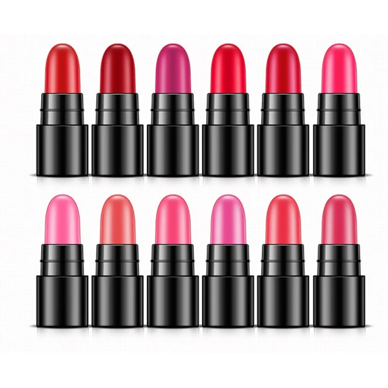 2019 12 pcs Sexy Women Lipstick Beauty Waterproof Long-lasting Moisturizing Lipstick Makeup Matte Lipstick Lip maquiagem 2019 12 pcs Sexy Women Lipstick Beauty Waterproof Long-lasting Moisturizing Lipstick Makeup Matte Lipstick Lip maquiagem