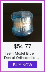 Alta Qualidade Dental Typodon Dentes Modelo - Ortodôntico Steelteeth M8017 10 Beleza e saúde