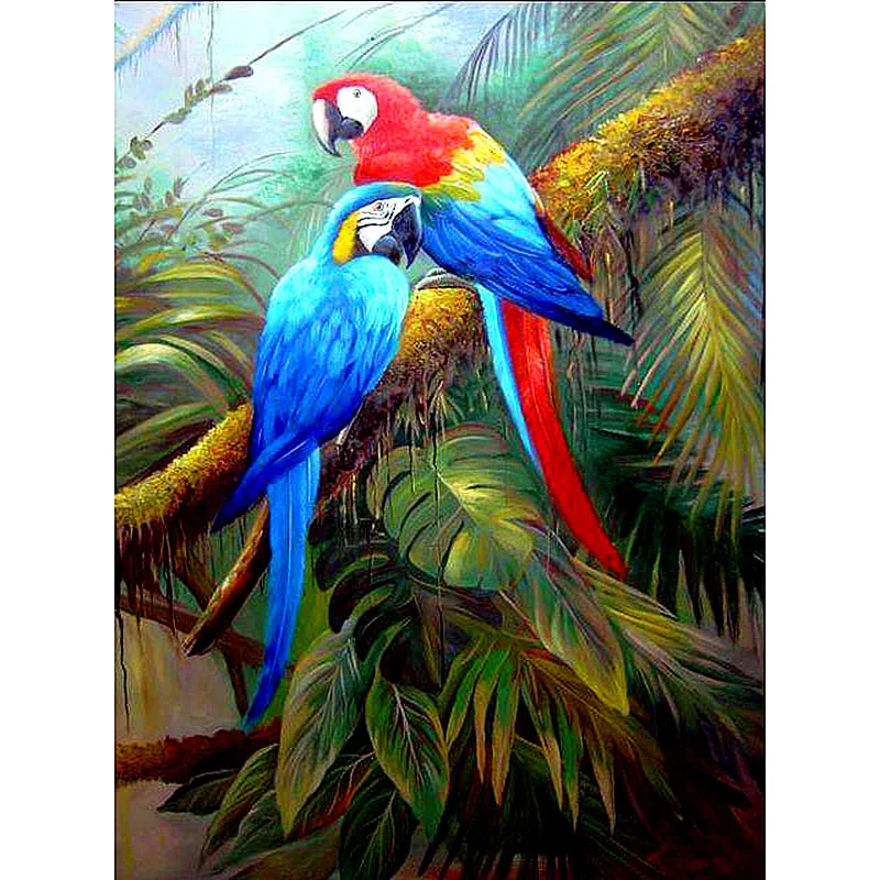 Попугай в джунглях рисунок