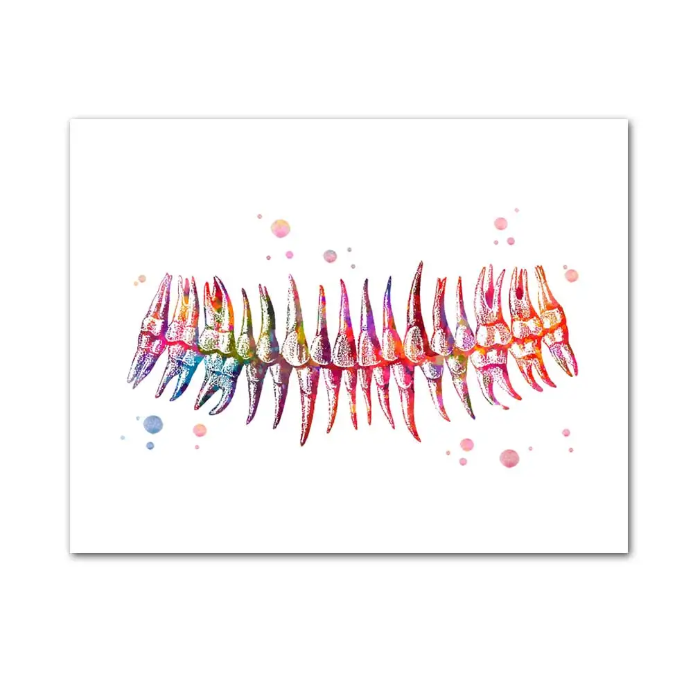 WANGART зубы акварельный принт Стоматологическое искусство стоматолога плакат Анатомия зубов человека стоматология Декор клиника настенный Декор подарок для врача - Цвет: jy1353