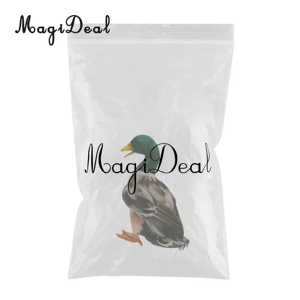 MagiDeal Various Realistic Duck Ornament Figure Outdoor Home Garden Water Pond Decoration DIY Vivid Artificial Feather Craft