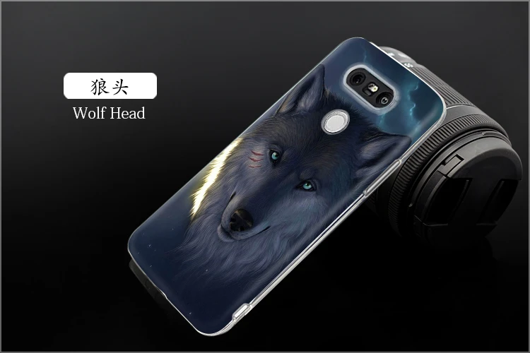 LGG5-21