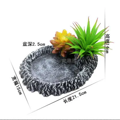 Hüllő Medence Hüllő Doboz Étel Tál Teknős Ételek Víz Tálca Gyík Doboz Tereprendezés Kisállat Tál Hüllő Kellékek - Image 2