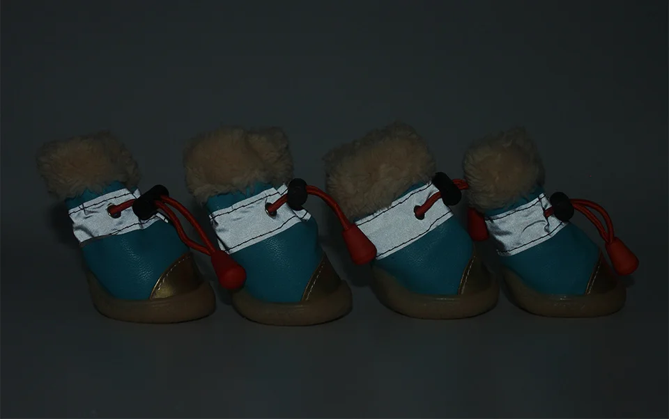 dog shoes 2
