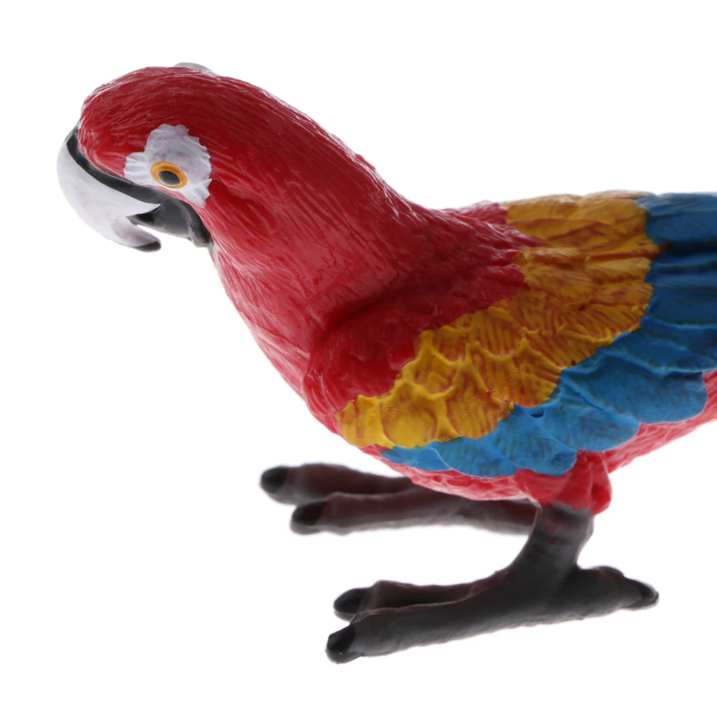 Plastic Realistic Wildlife Jungle Forest Animals Parrot Action Figure Toys Playset, Eduactional Toys For Kids Collectibles