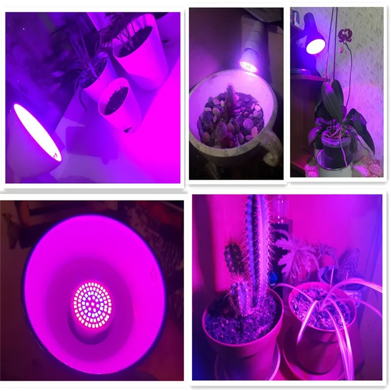 VBS 220v E27/GU10/MR16 Фито лампы для растений, SMD2835 3W/4 W/5 W Крытый полный спектр светодиодный светильник для сада тента