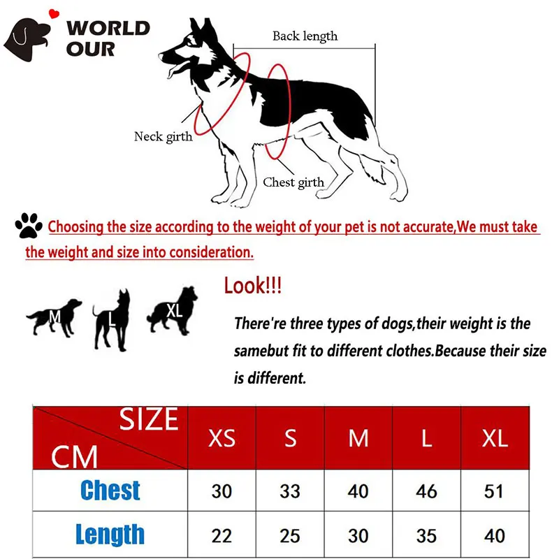new year costume for dogs