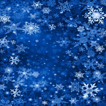 

10X10ft thin vinyl photography backgrounds Computer Printed children Christmas backdrops for Photo studio blue snow