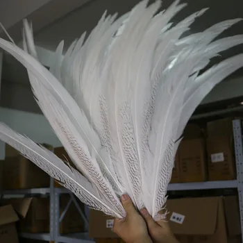 

real natural silver pheasant tail plumage feather Silver pheasant Feathers 60-65cm 24-26inches Lady Amhurst Pheasnat tails H01