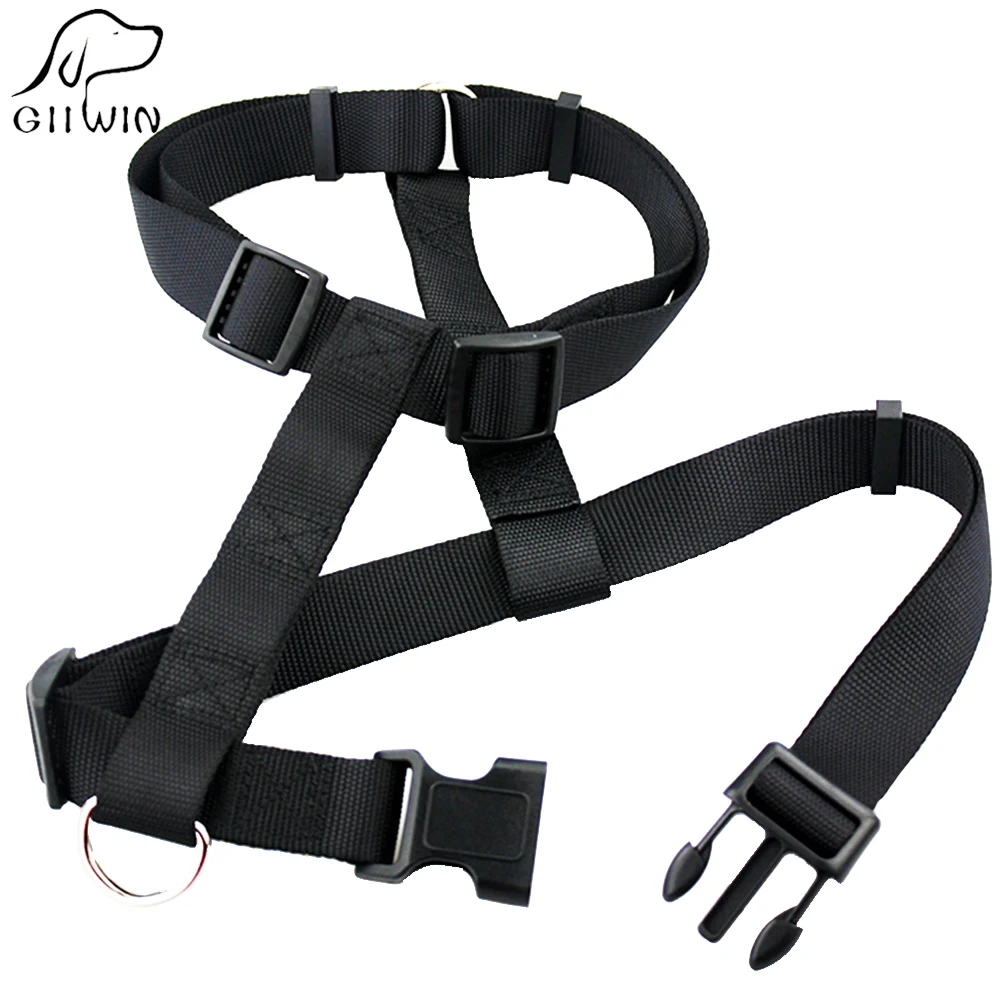 0581 dog harness