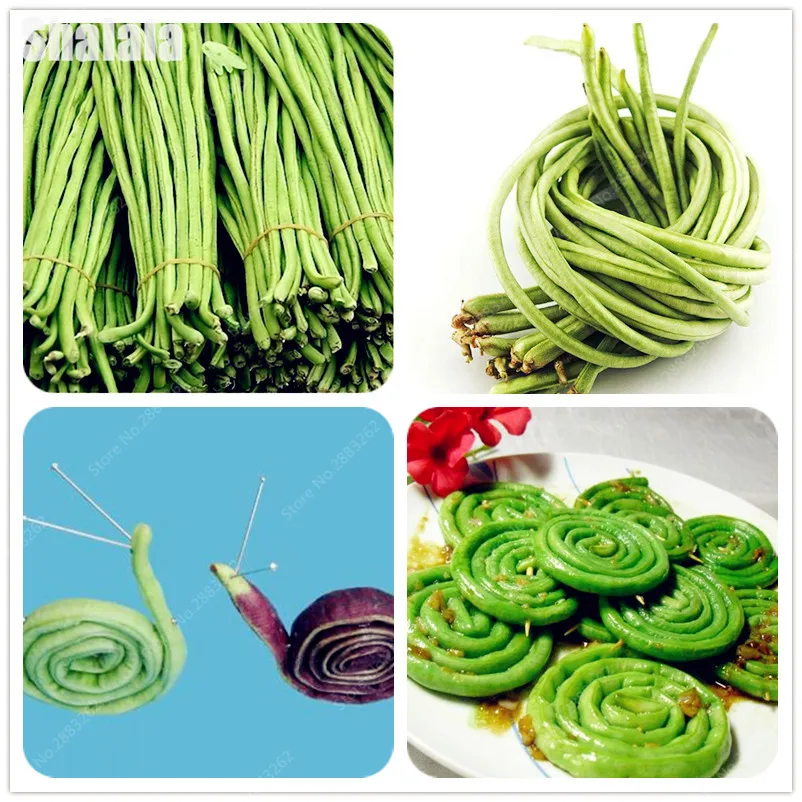 Купить Семена Вигны В Интернет Магазине