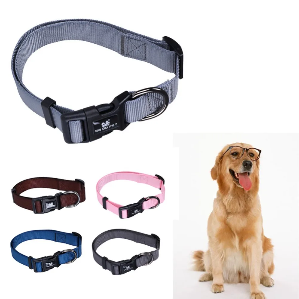 BM0102 (3)