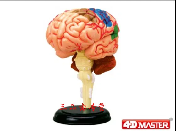 //img.alicdn.com/imgextra/i4/99136169/TB2Mf5mfXXXXXbxXpXXXXXXXXXX_!!99136169.jpg