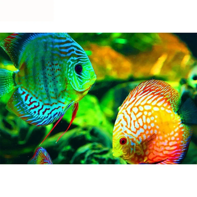 DIY Mosaic Diamond Embroidery Diamond Painting Fish Cross Stitch Animals 5D Full Drill Decoration Home Gifts