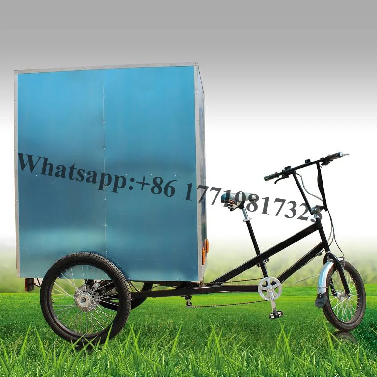 T01B трехколесный велосипед трехколесный Электрический Грузовой Велосипед транспортный трайк для погрузки транспортного средства
