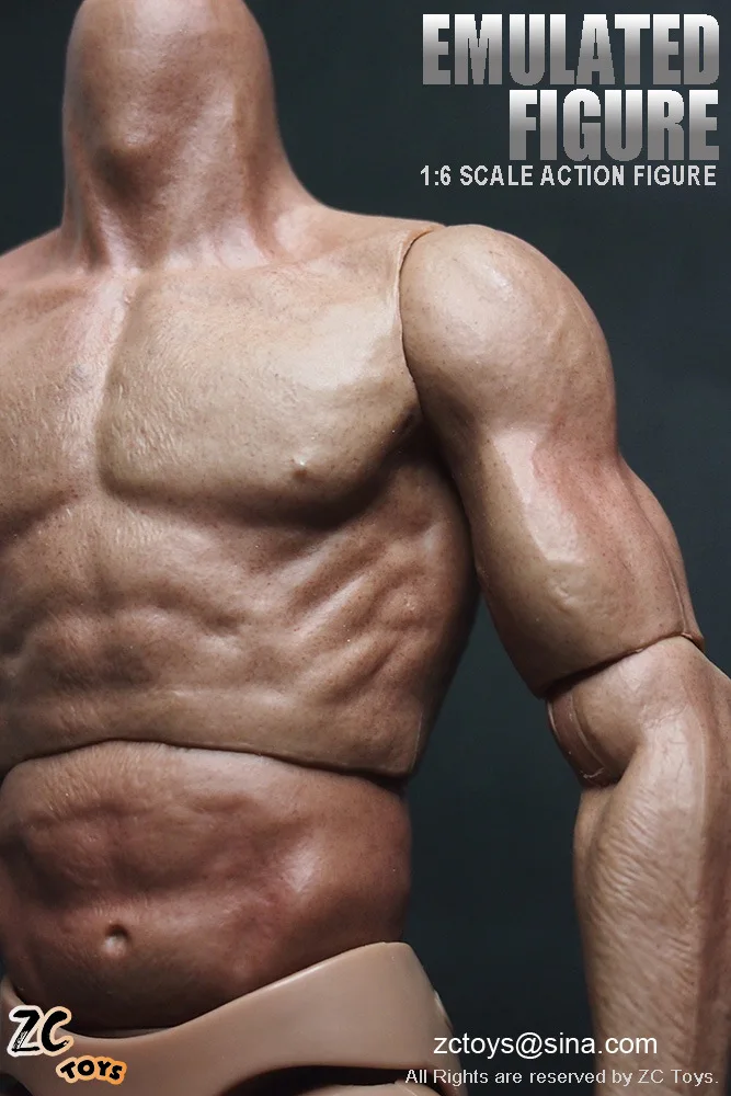 ZCTOYS Male Muscular Body Part Wolverine Figure Doll No Neck PVC Universal 12in