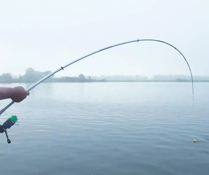 carbon fishing