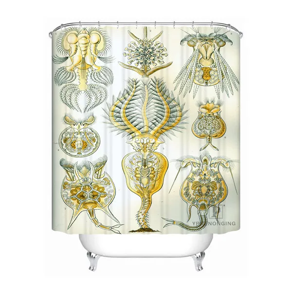 Shower Curtain Пользовательские Искусство Haeckel Asteridea ванная комната приемлемая занавеска из полиэстеровой ткани занавеска для ванной#180318-37-4 - Цвет: Shower Curtain
