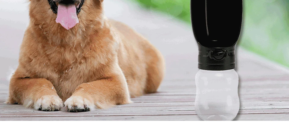 DRESSPET Pet Dog Bottle Water Bowl Portable Collapsible Travel Drinker Cup For Dogs Cat 330ml Water Dispenser Feeder Supplies 301 (2)