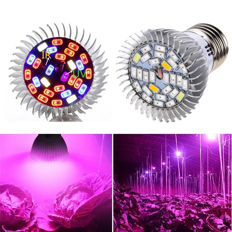 HTB1b4AfSFXXXXXkXpXXq6xXFXXXe