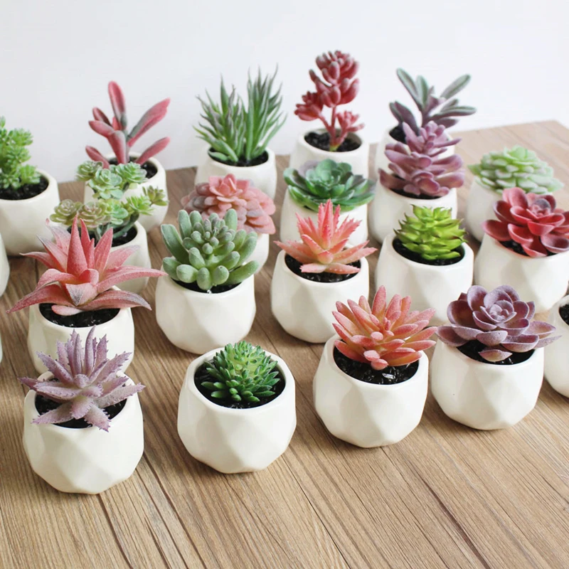 JAROWN Artificial Succulent Plant Bonsai Simulation Plastic Flower Wedding Home Room Desktop Placement Shop Window Display Decor (4)