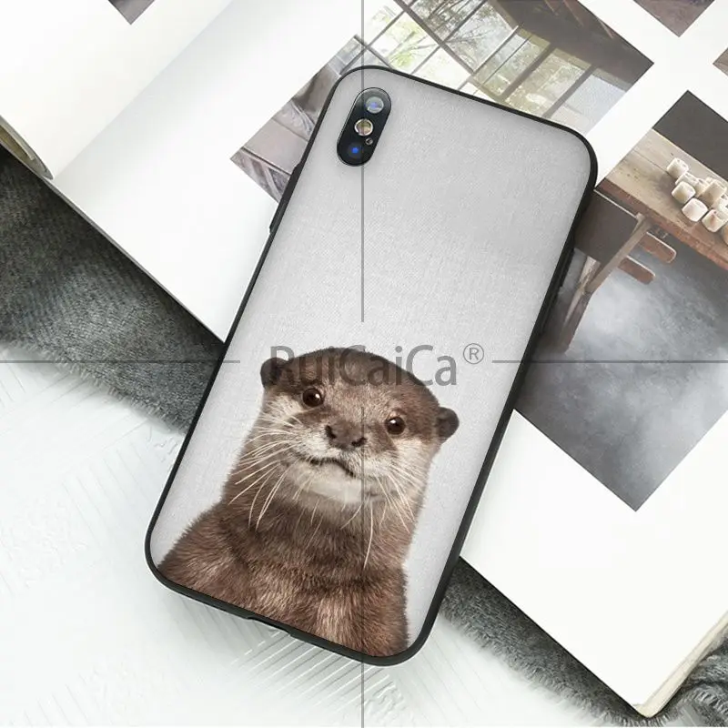 Animal dog cat tiger penguin baby