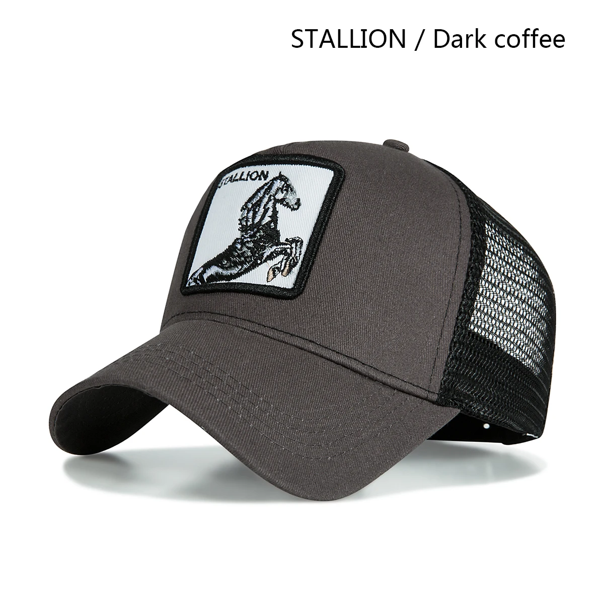 dark coffee stallion