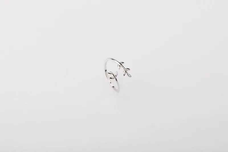 8262960655_1646359543