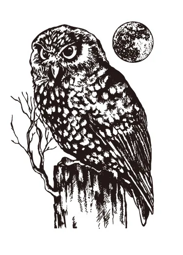 

Animal Transparent Clear Stamps for DIY Scrapbooking/Card Making/Kids Christmas Fun Decoration Supplies