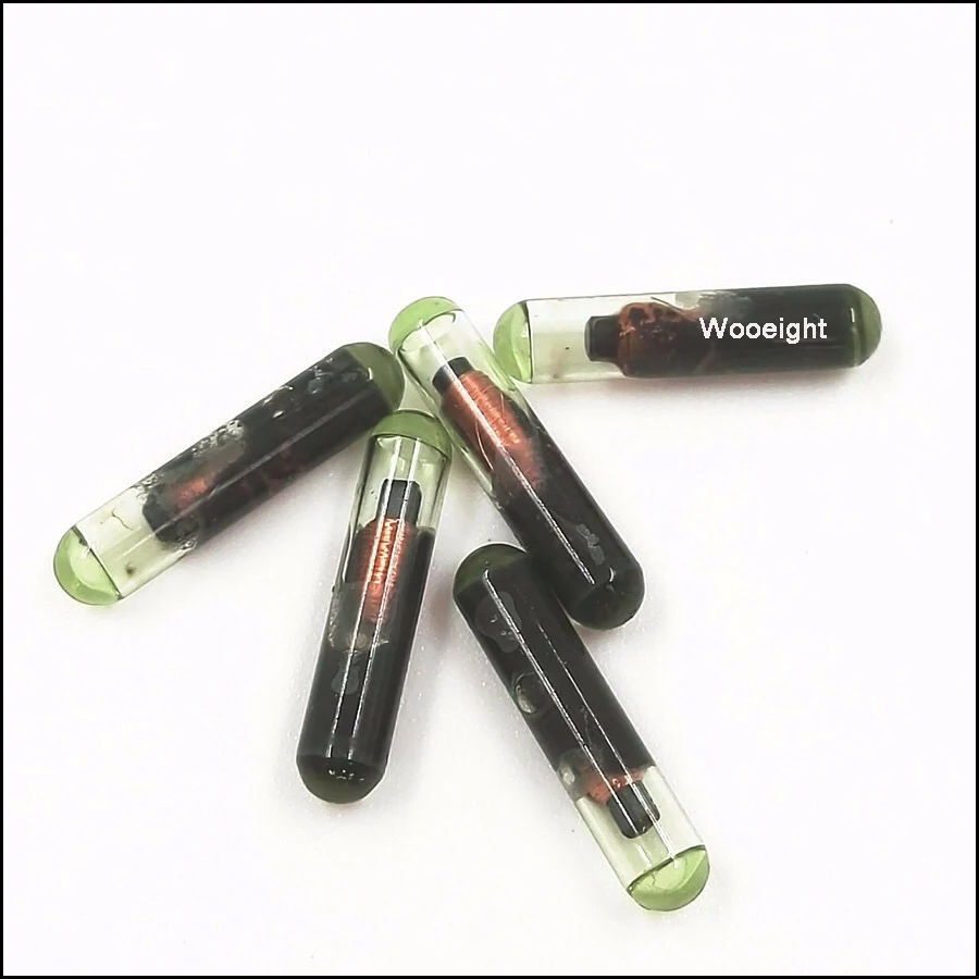 10Pcs Car Key Transpnder Chip ID48 For VW Golf Passat Skoda Seat Honda Audi A4 A6 A8 Not Coded Grass Clips (6)