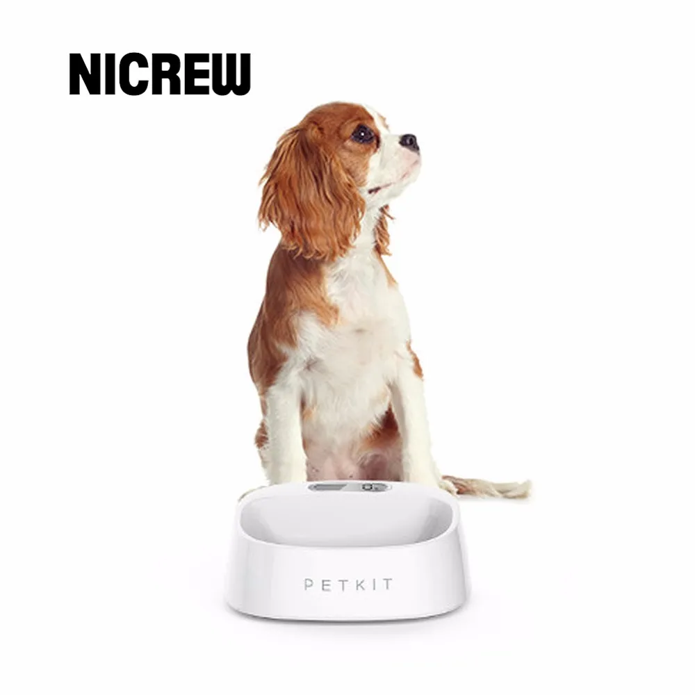 Buy Nicrew Smart Digital Pet Cat Puppy Dog Feeding