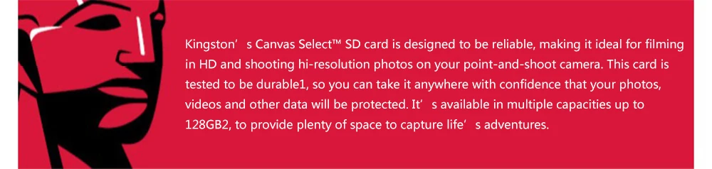 Kingston SD Card 128GB 64GB 32GB 16GB memory card Class10 tarjeta de memoria SDHC SDXC UHS-I HD C10 video carte sd For Camera (2)
