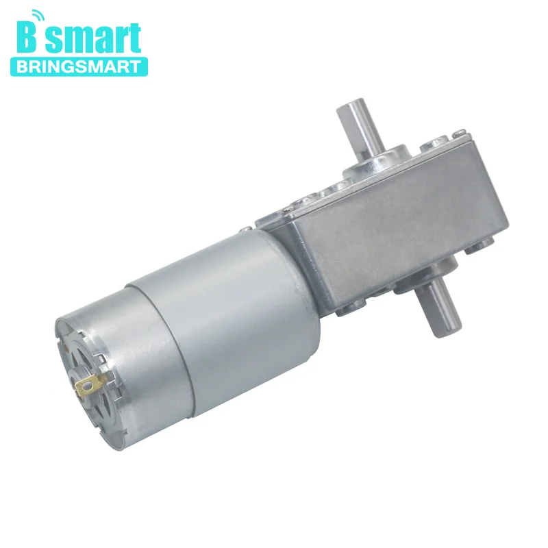 

Bringsmart Worm Double Shaft 12v Large Torque Motor 24v A58SW-555S D Shaft Self-Lock Mini Reduction Gearbox Electric Motor