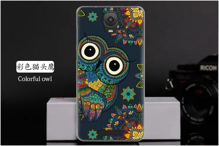  Colorful owl
