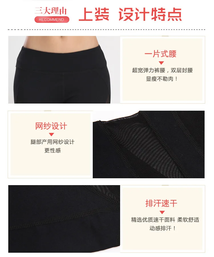 CK811 (2)