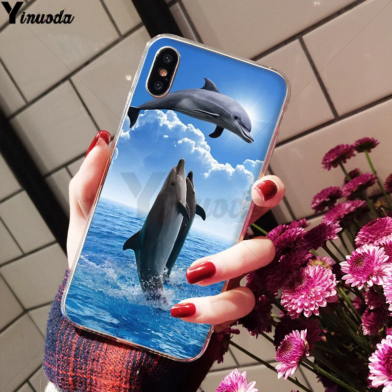 shark Sea fish dolphin