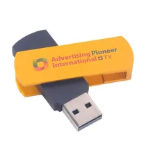 Многофункциональный Золотой USB по всему миру Интернет ТВ и Радио player ключ