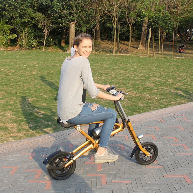 

12 Inch Foldable two Wheel Electric Scooter giroskuter, E-Bike for Travel and Leisure Activities