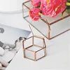 Mini Hexagon Geometric Wedding Ring Box Ring Bearer Box Tabletop Succulent Plants Planter Wedding Decoration 2