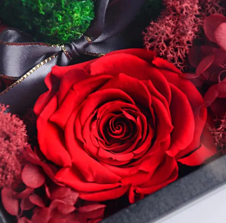 Xiaomi Mijia The ONE Real Rose Flower Forever для влюбленных подарок на день рождения мужчин и женщин