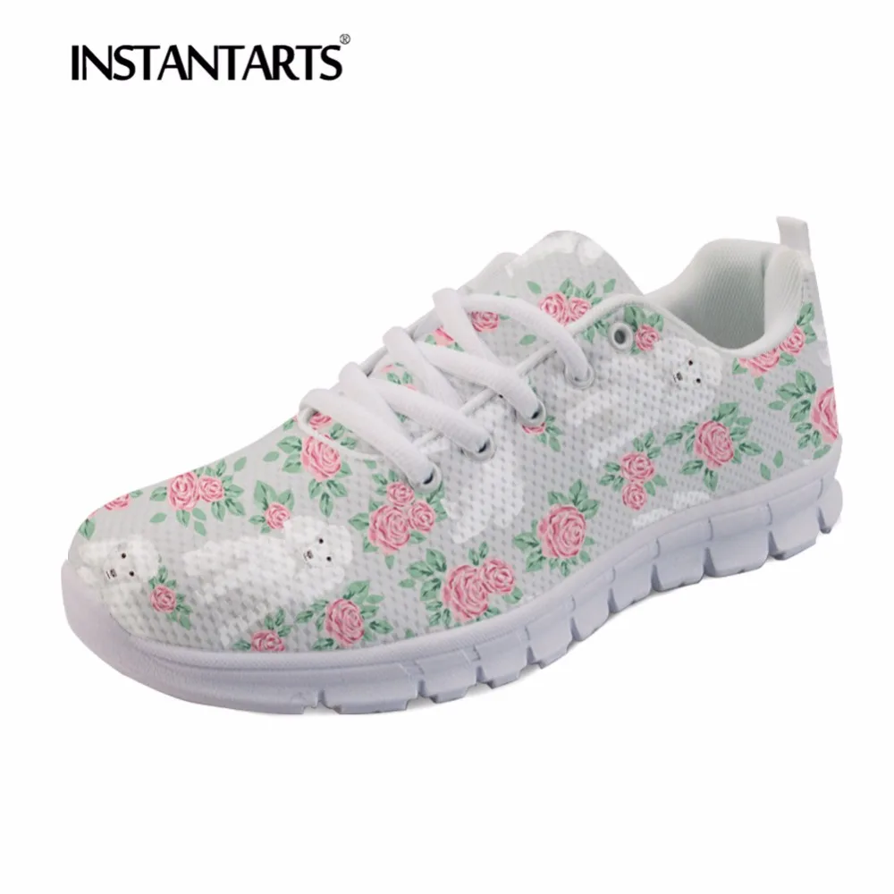 zapatos scratcher