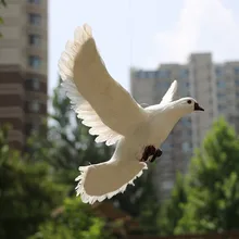 Моделирование животных настоящие перья крылья голубей Летающий голубь Голубь творческое место выставки декорация зала предметы мебели